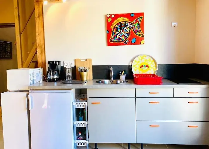 A Tres Lumineux Avec Jardinet * Anglet