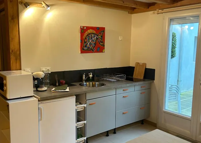 A Tres Lumineux Avec Jardinet Lejlighed *