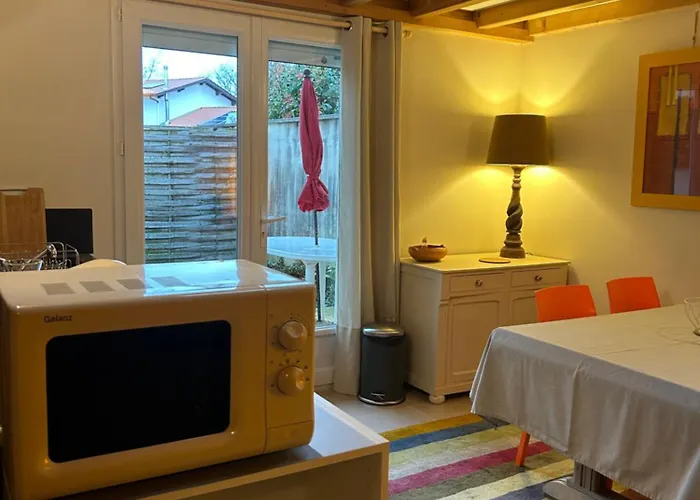 A Tres Lumineux Avec Jardinet Anglet